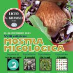 mostra_micologica2022